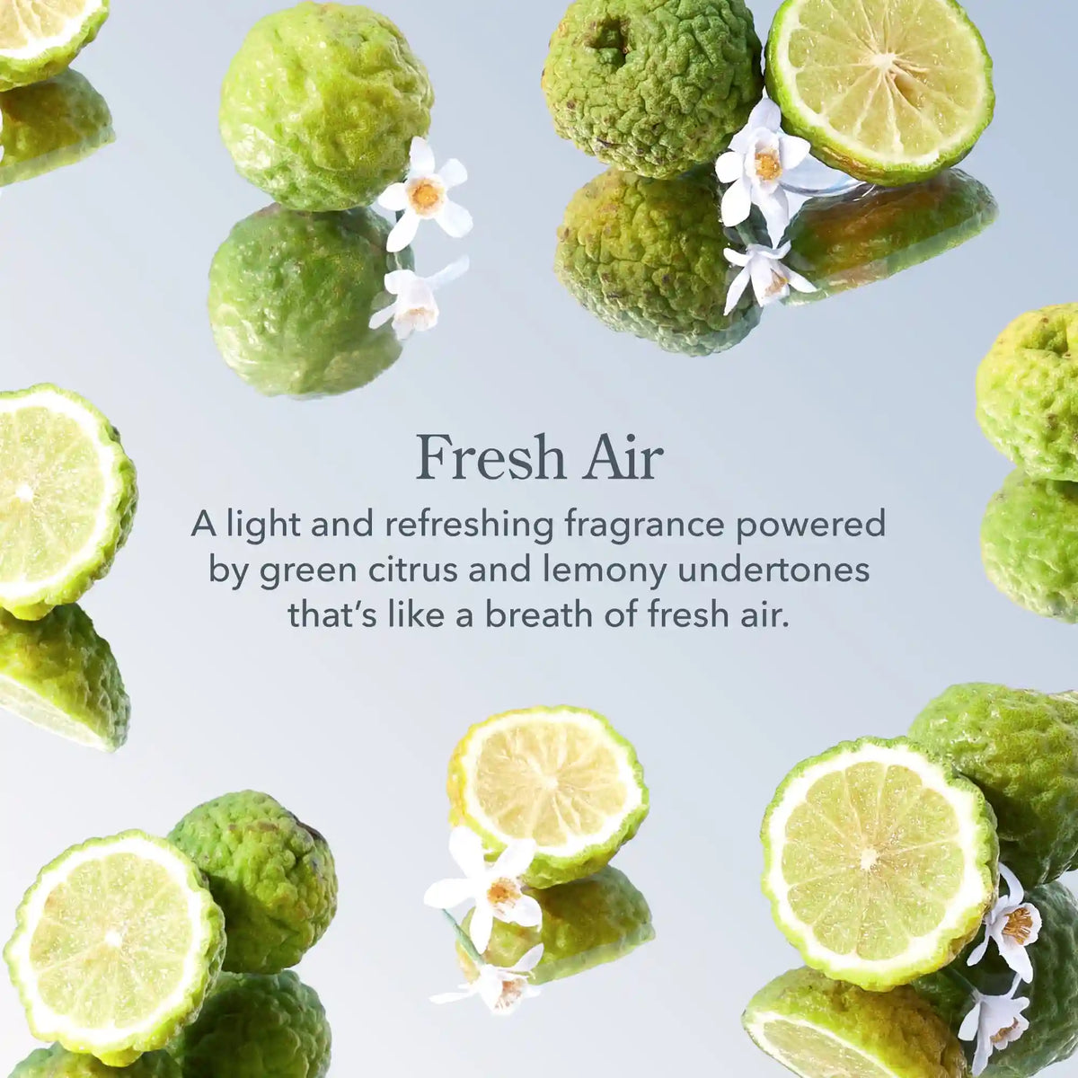 Fresh Air Whipped Body Cream