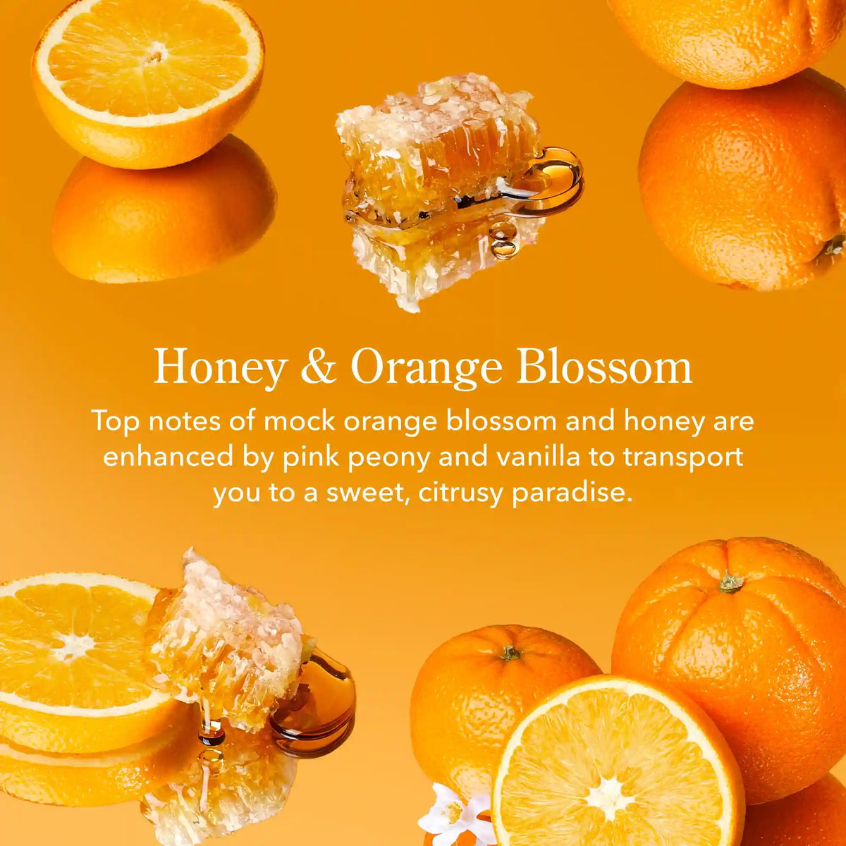 Honey & Orange Blossom 3-Pack Of Lip Balms
