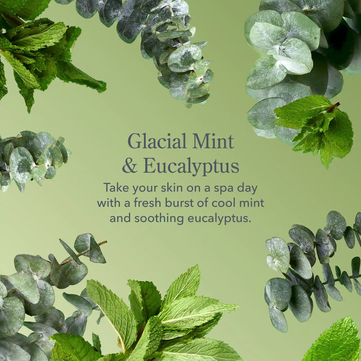 Glacial Mint & Eucalyptus Palm-Sized Goat Milk Soap