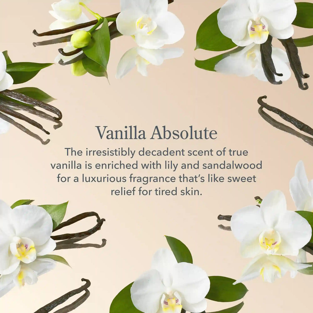 Vanilla Absolute Hydration Routine