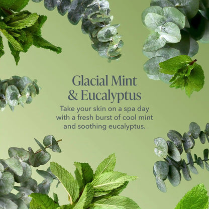 Glacial Mint & Eucalyptus Cafe Trio