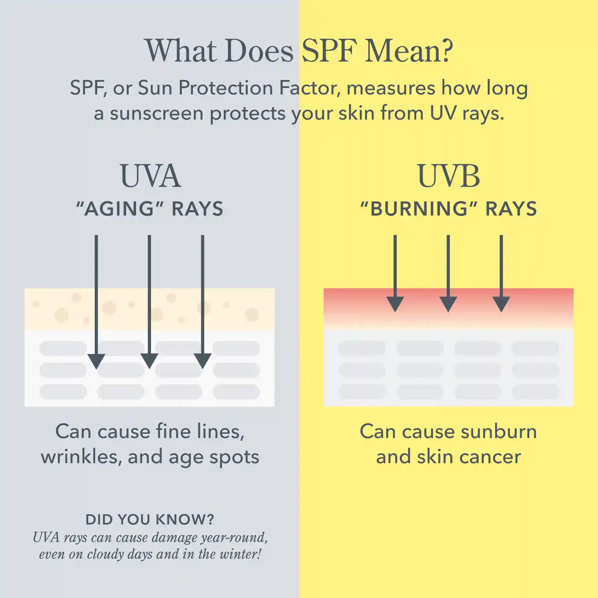 Solar Milk Clear SPF 50 Sunscreen Gel for Face