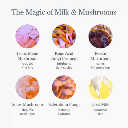 Shroom & Bloom Set