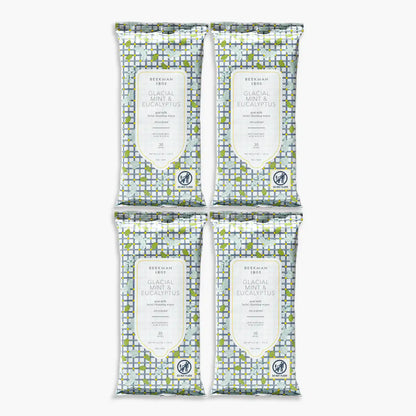 Glacial Mint & Eucalyptus Face Wipes Set of 4