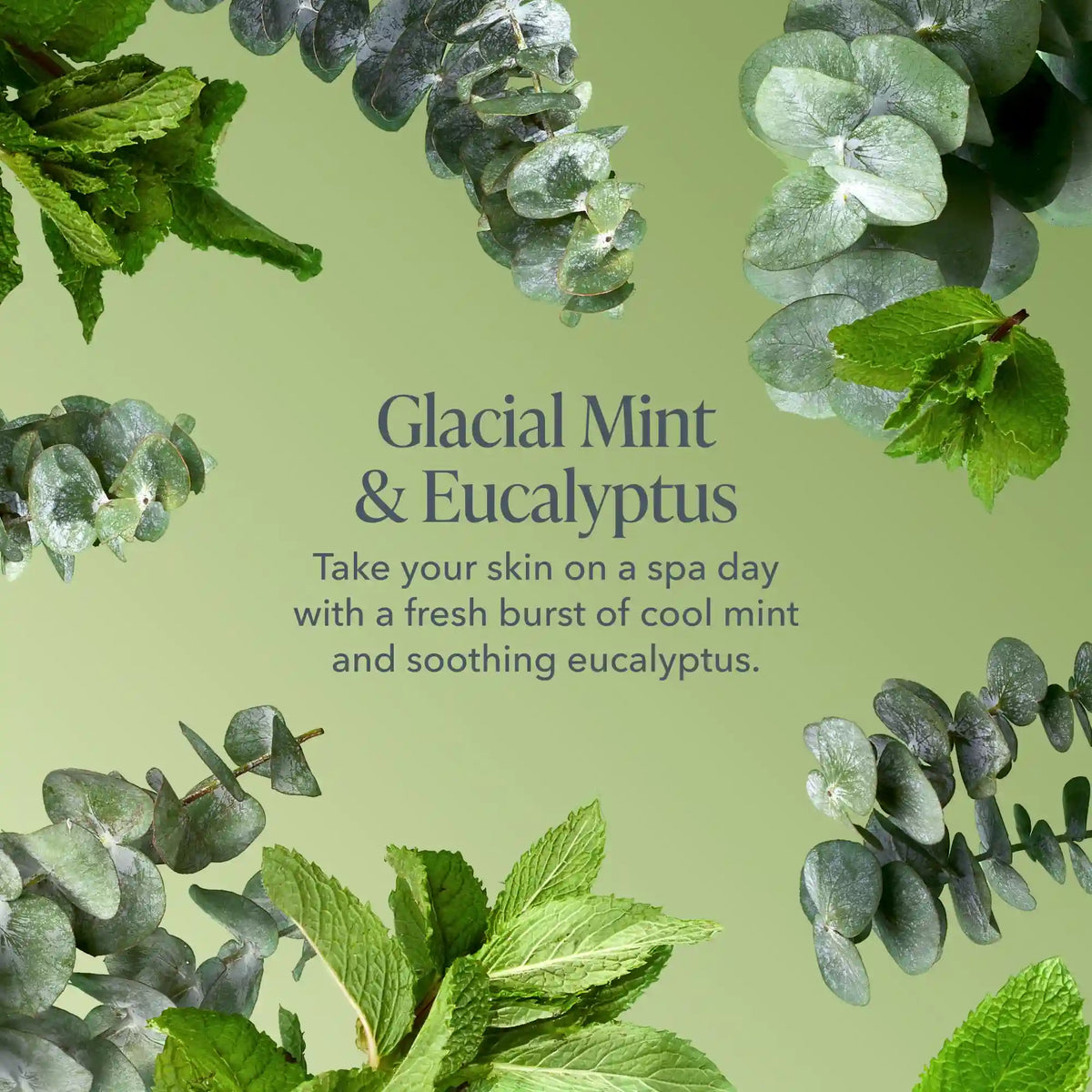 Glacial Mint & Eucalyptus Essentials Hand & Lip Care Set
