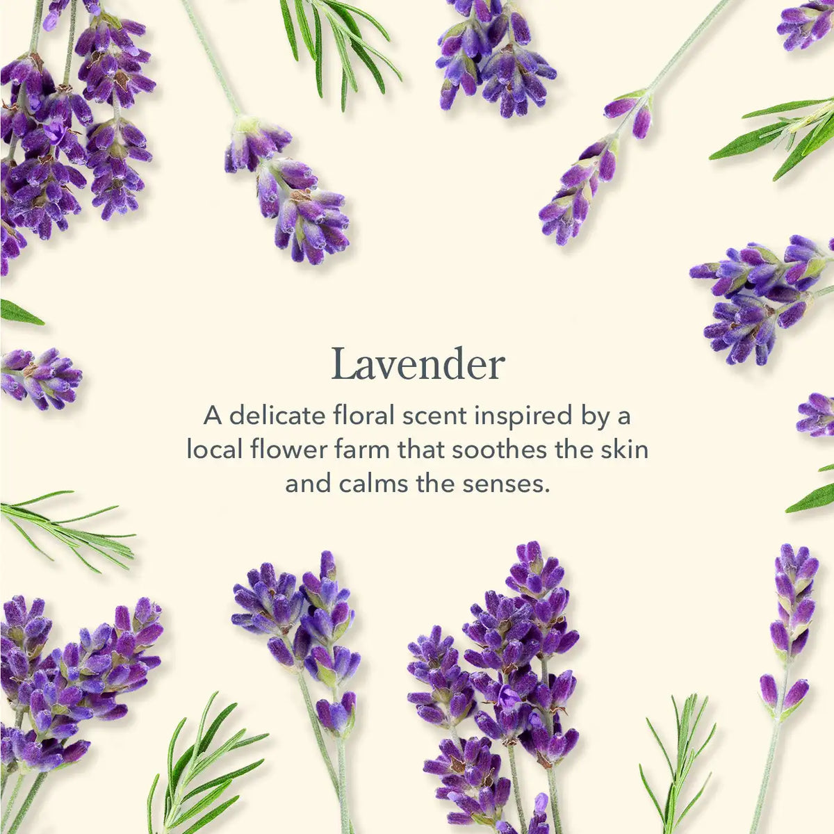 Lavender Face Wipes