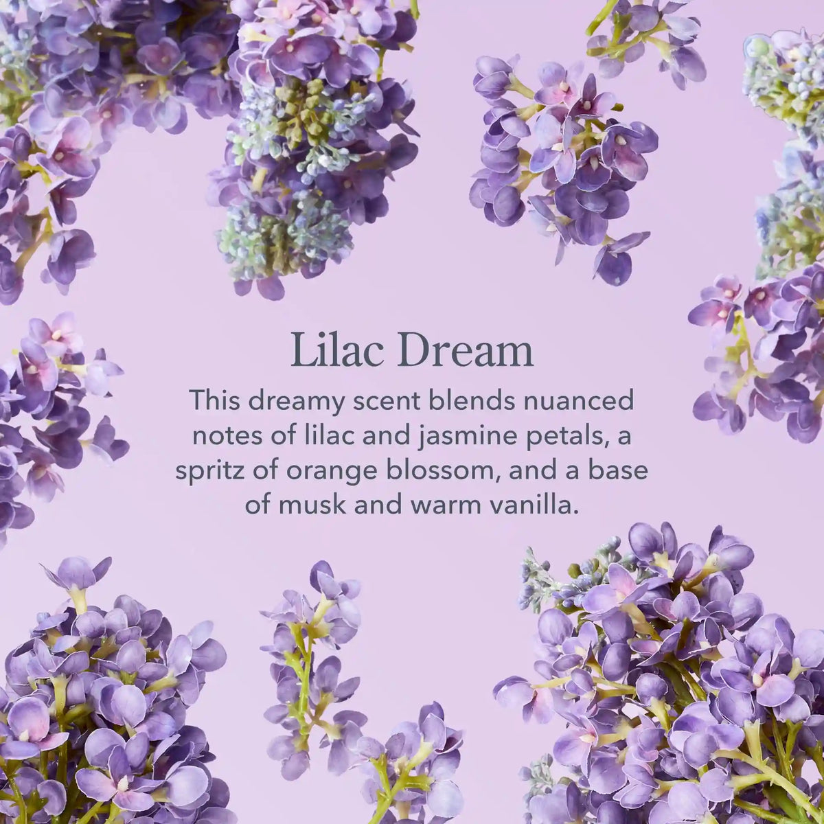 Lilac Dream Lotion