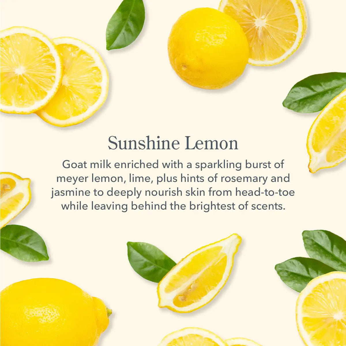 Sunshine Lemon Caddy Set