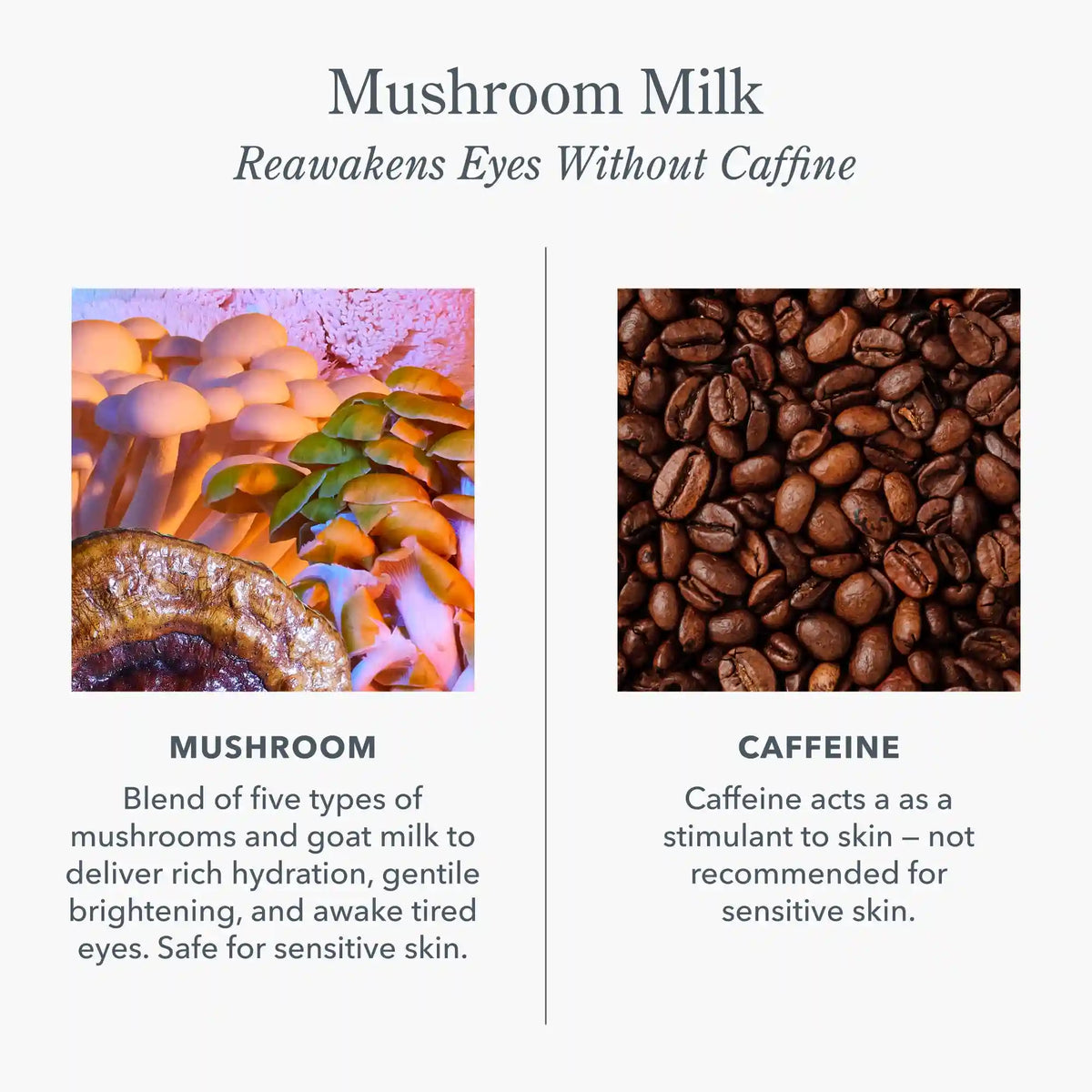 Mushroom Milk Brightening & Energizing Eye Cream
