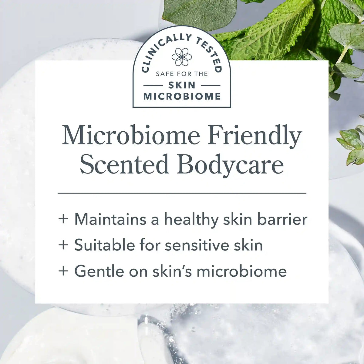 Glacial Mint & Eucalyptus Face Wipes