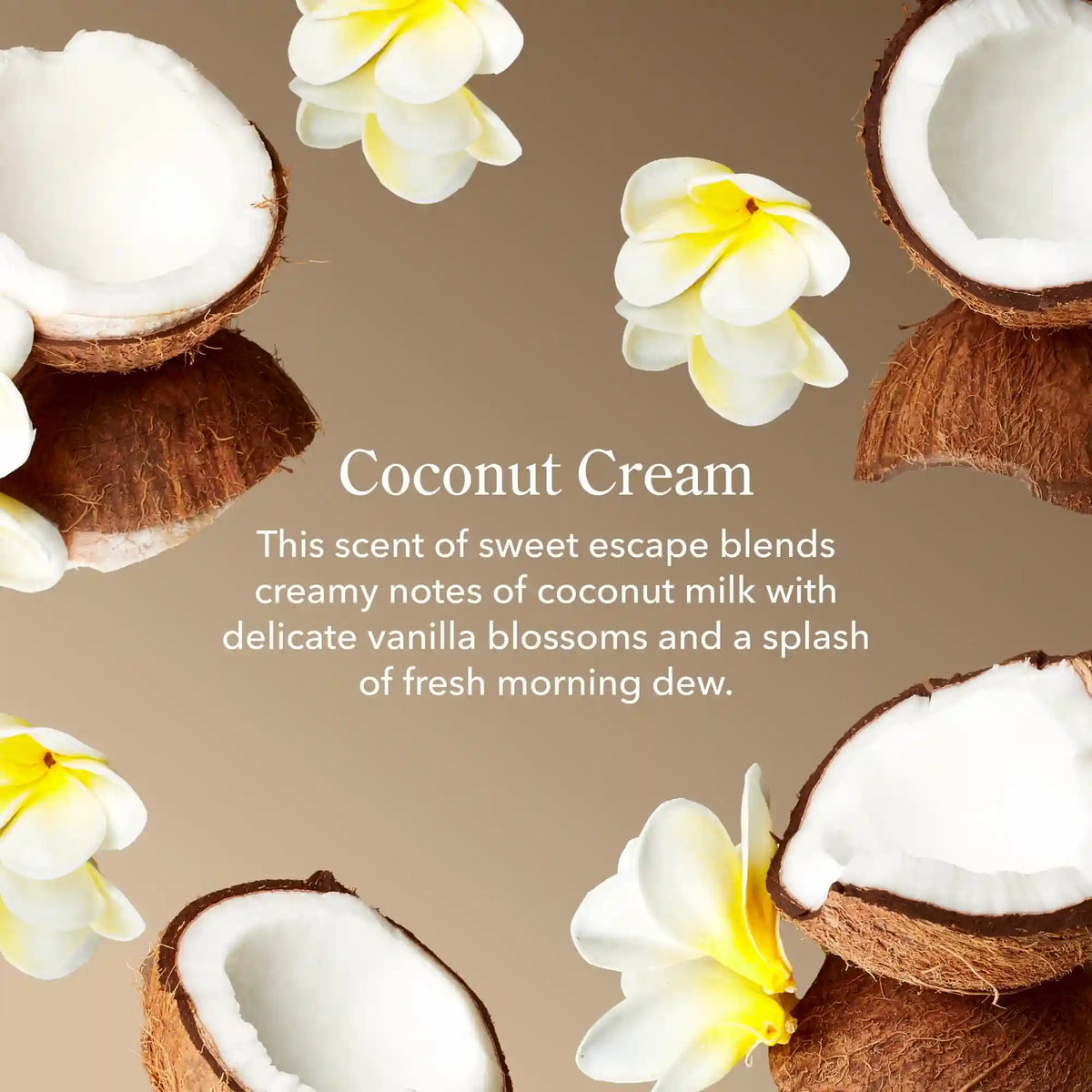 Coconut Cream Mini Hand Cream Set of 3