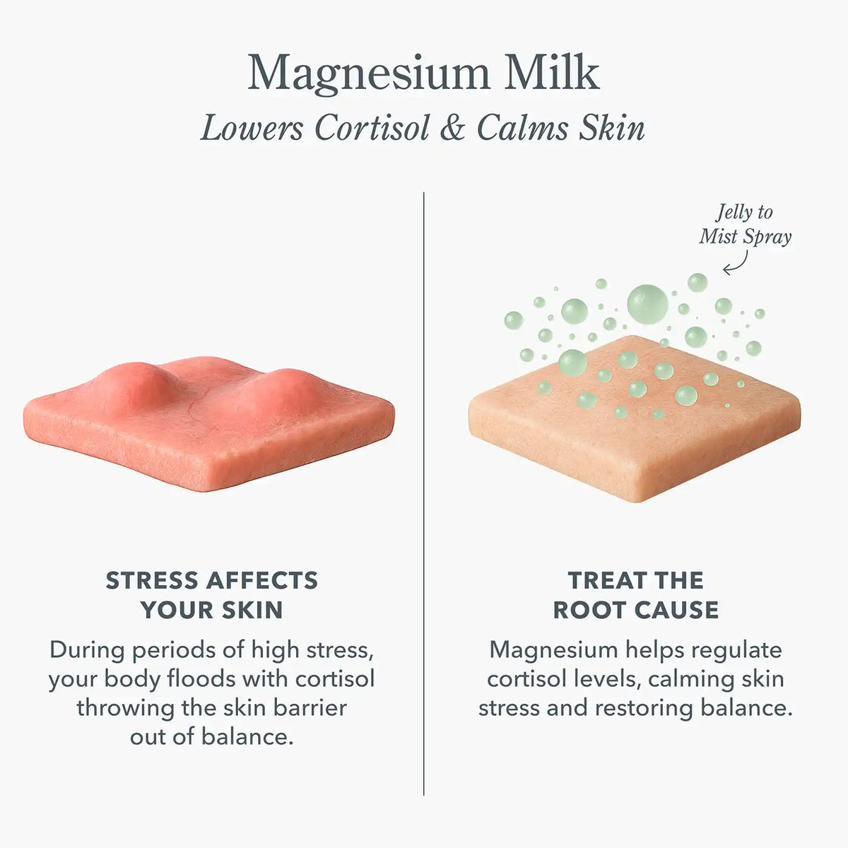 Magnesium Milk Barrier Reset Jelly Mist